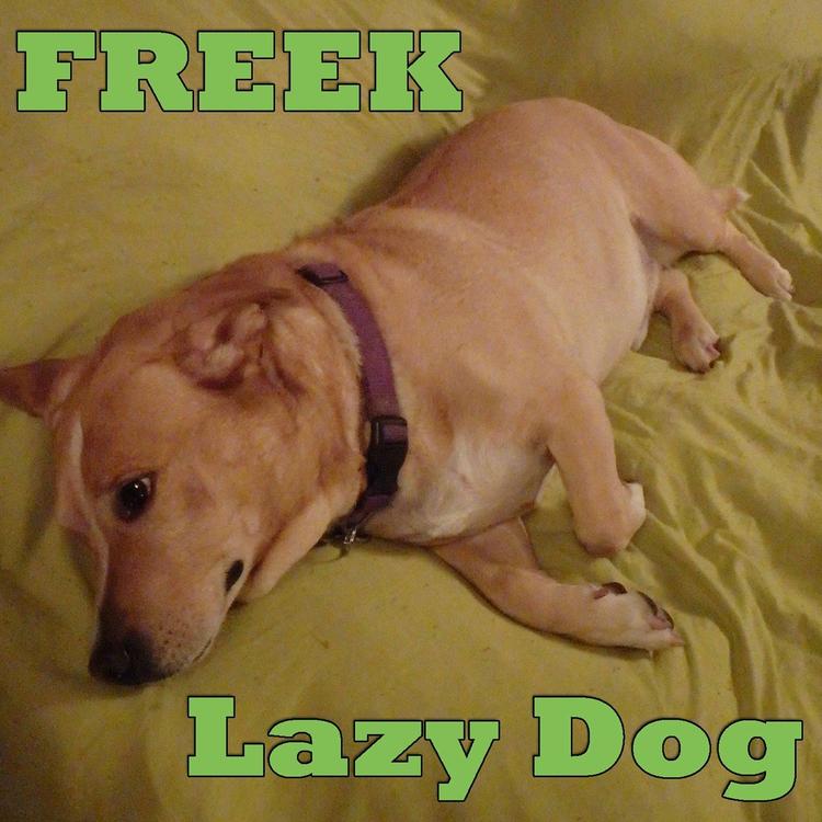 Freek's avatar image