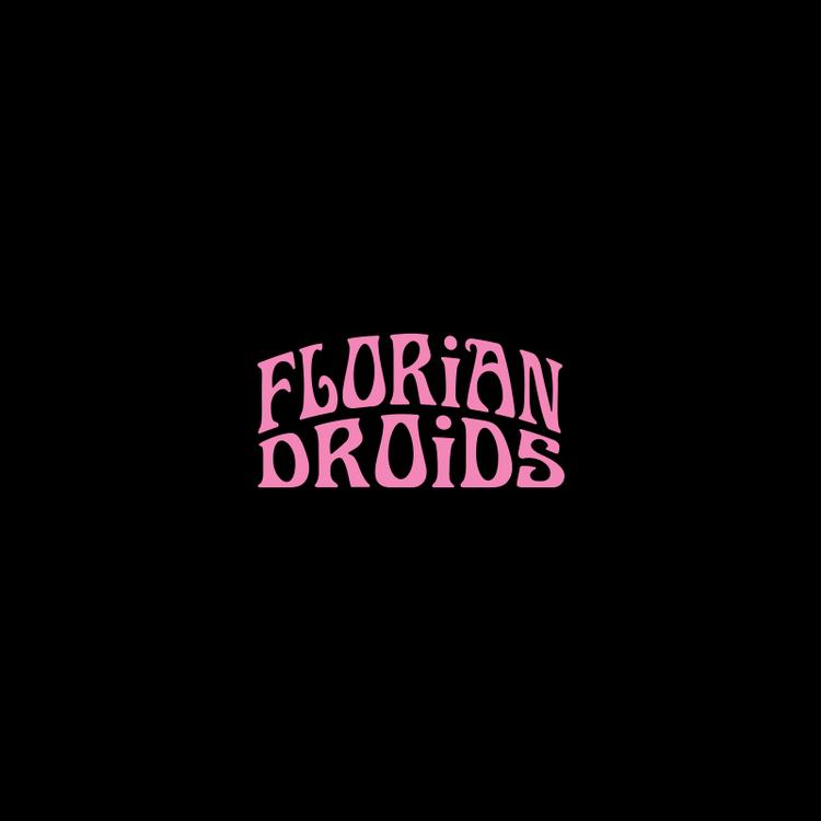 Florian Droids's avatar image