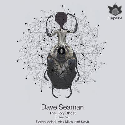 The Holy Ghost (Florian Meindl Remix) By Dave Seaman, Florian Meindl's cover