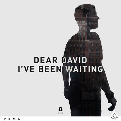 I've Been Waiting (Original Mix) By Dear David's cover