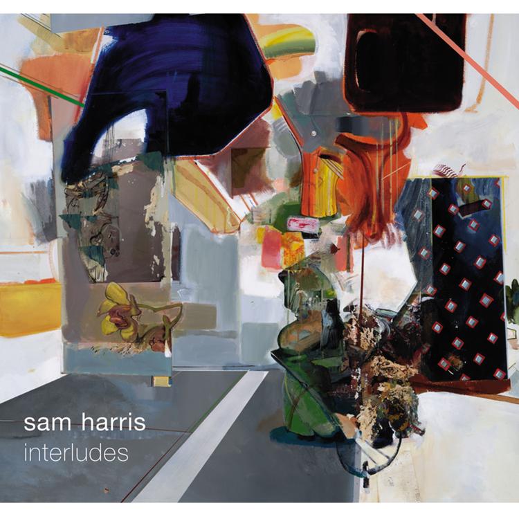 Sam Harris's avatar image