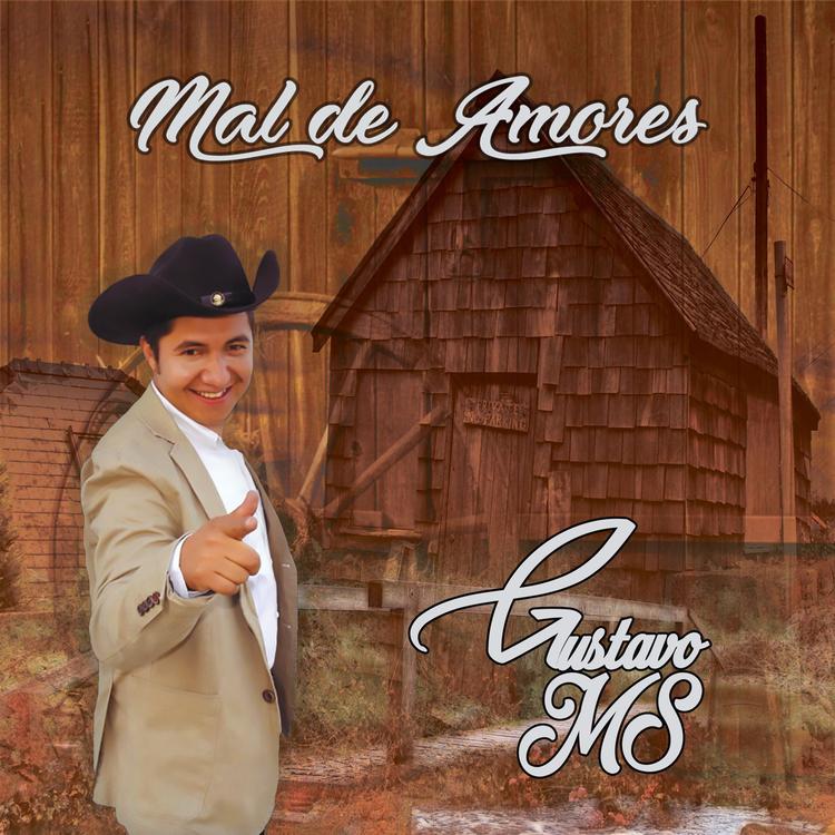 Gustavo MS's avatar image
