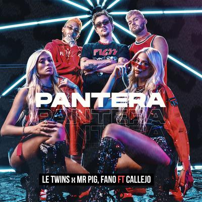 PANTERA's cover