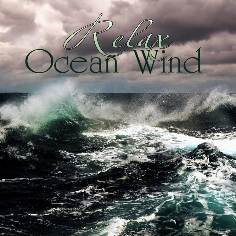 Ocean Wind's avatar image