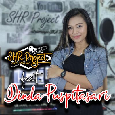 SHR Project Official's cover