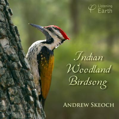 Indian Woodland Birdsong's cover