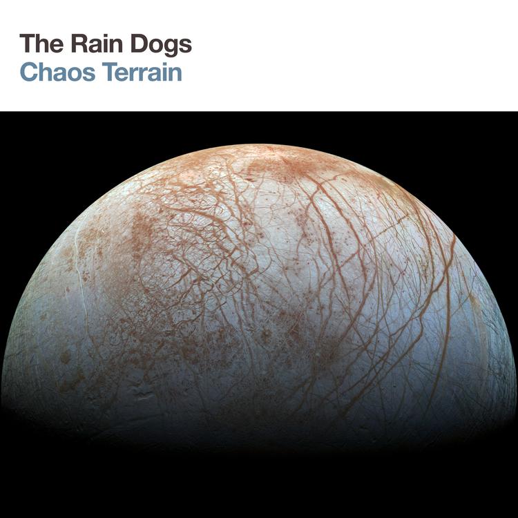 The Rain Dogs's avatar image