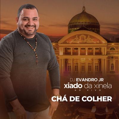 Chá de Colher: Ao Vivo no Teatro Amazonas By Xiado da Xinela, Dj Evandro Jr's cover