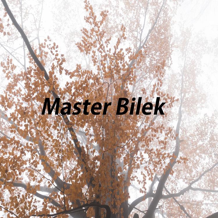 Bilek da Bilek's avatar image