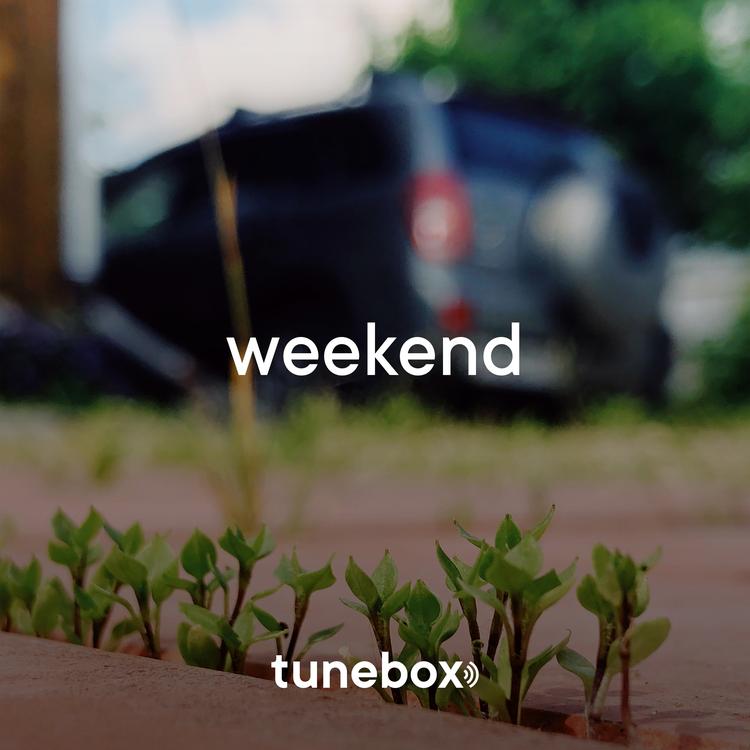 Tunebox's avatar image