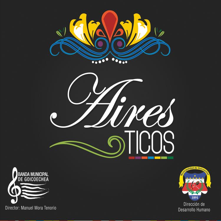Banda Municipal de Goicoechea's avatar image