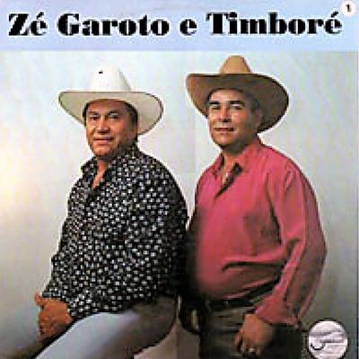 Amigo Fiel By Zé Garoto e Timboré's cover