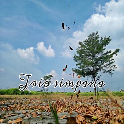 Napuran Somba's cover