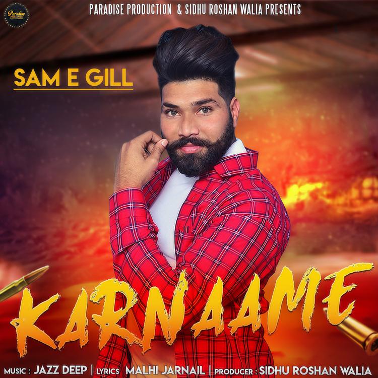 SAM E GILL's avatar image