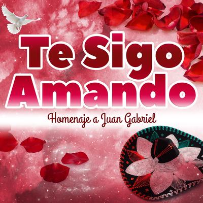 Te Sigo Amando - Homenaje a Juan Gabriel's cover