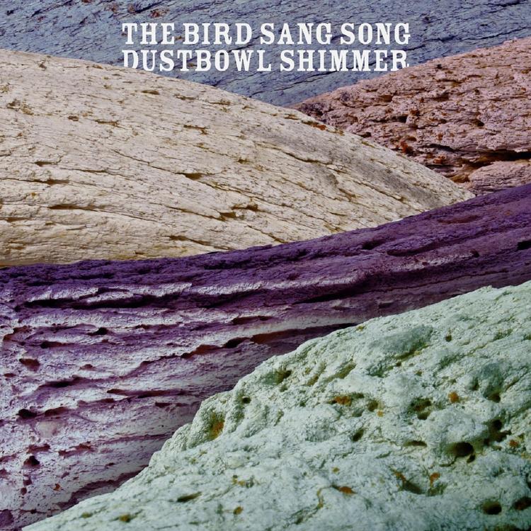 The Bird Sang Song's avatar image