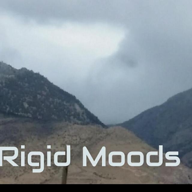 Rigid Moods's avatar image