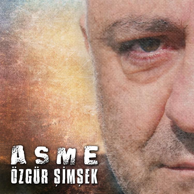 Özgür Şimşek's avatar image