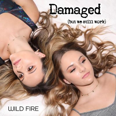 Damaged (But We Still Work) By Wild Fire's cover