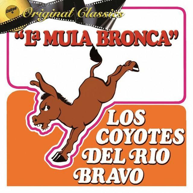 Los Coyotes Del Rio Bravo's avatar image