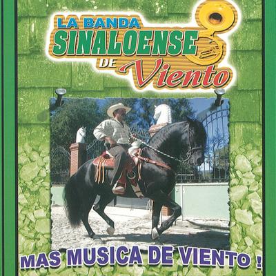Mas Musica De Viento's cover