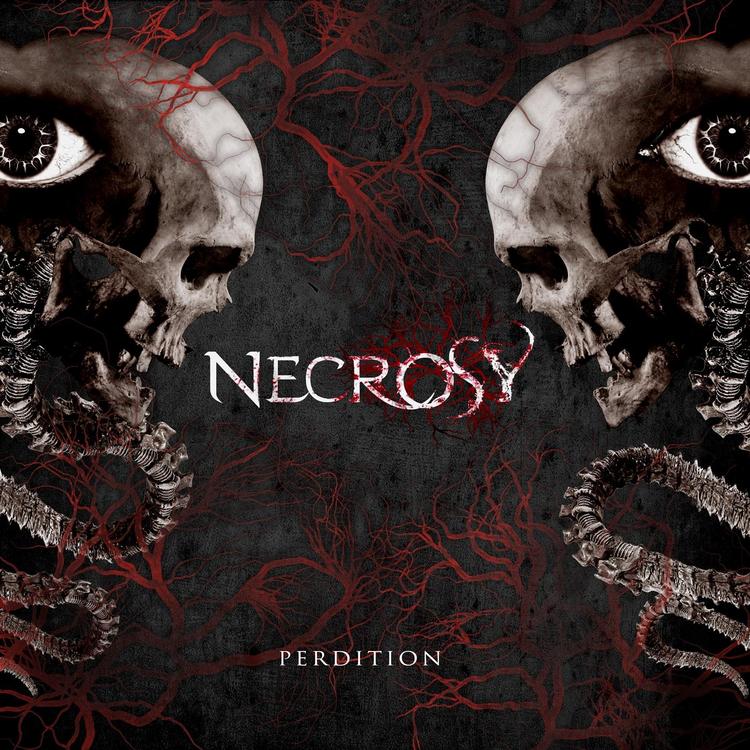 Necrosy's avatar image