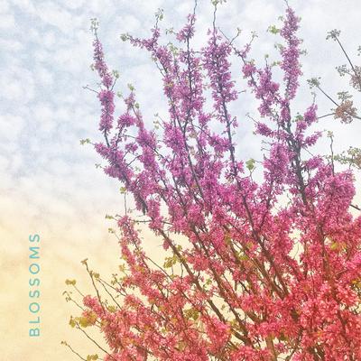 Blossoms By Ata Fidan's cover