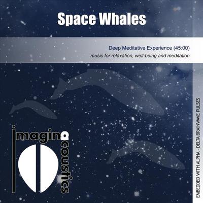 Space Whales By Imaginacoustics's cover