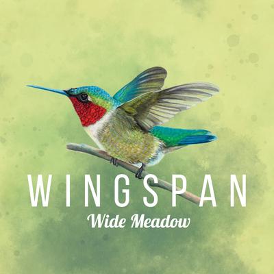 Wide Meadow (Wingspan Original Video Game Soundtrack)'s cover