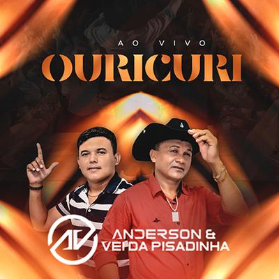 Tu Que o Véi Ne (Ao Vivo) By Anderson & Vei da Pisadinha's cover