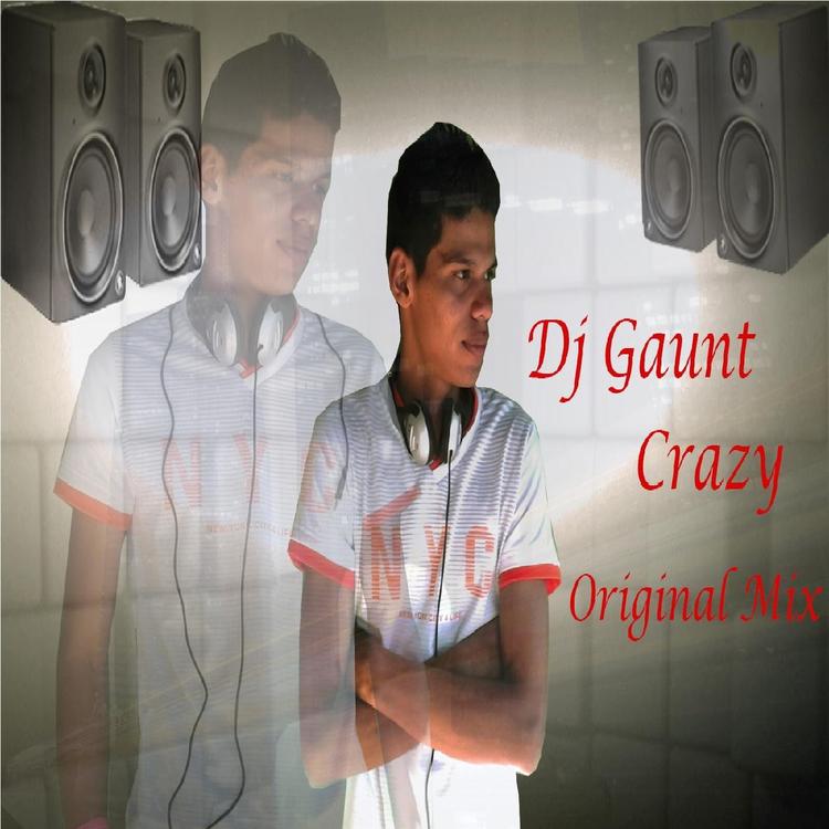 DJ Gaunt's avatar image