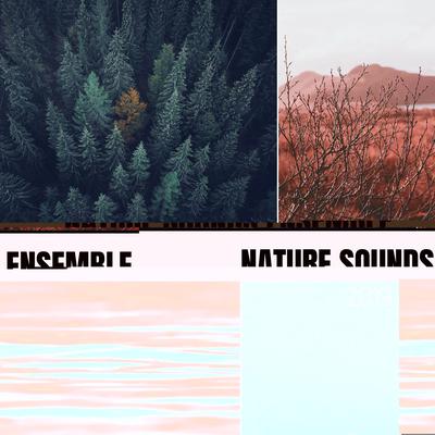 Nature Sounds Ensemble 2019 - Rain, Sea Waves, Ocean, Wind, Forest's cover