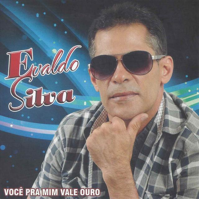 Evaldo Silva's avatar image