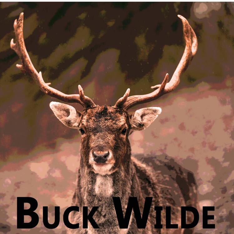 Buck Wilde's avatar image