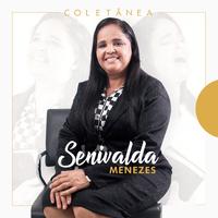 Senivalda Menezes's avatar cover