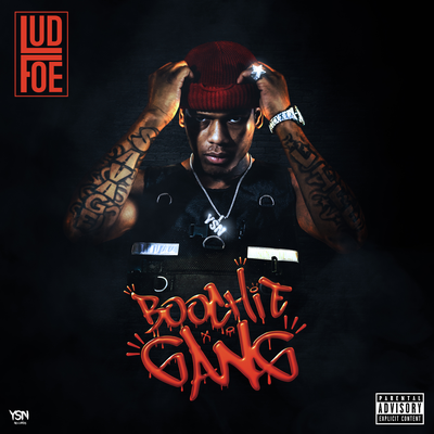 Lud Foe's cover