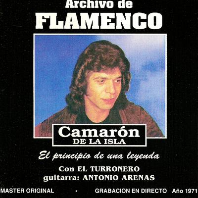 Archivo De Flamenco Vol.10 (Camarón De La Isla Con El Turronero)'s cover