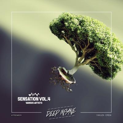 Deep Insane Sensation, Vol. 4's cover