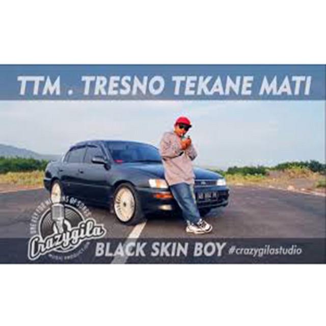 Black Skin Boy's avatar image