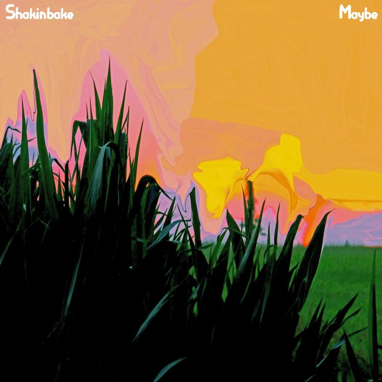 Shakinbake's avatar image