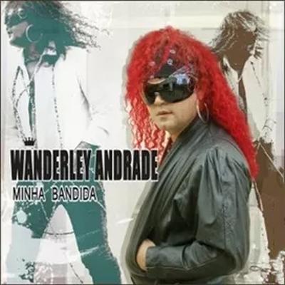 Wanderley Andrade - Minha Bandida's cover