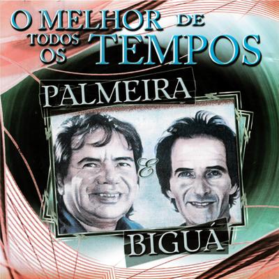 Ditado Sertanejo By Palmeira & Biguá's cover