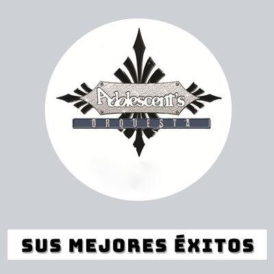 Sus Mejores Éxitos's cover