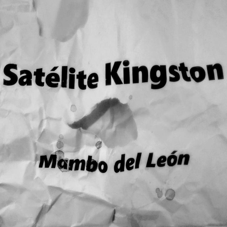 Satélite Kingston's avatar image