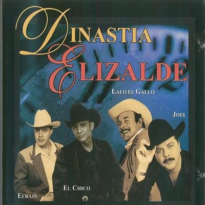 Dinastia Elizalde 2's cover