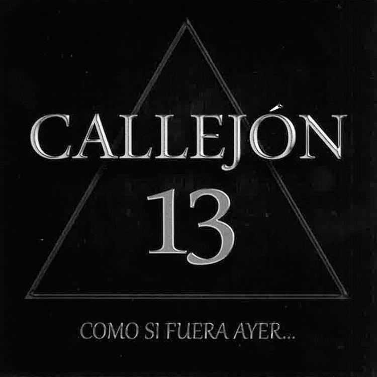 Callejón 13's avatar image