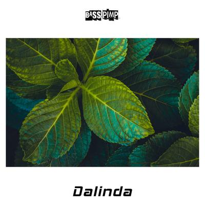 Dalinda's cover
