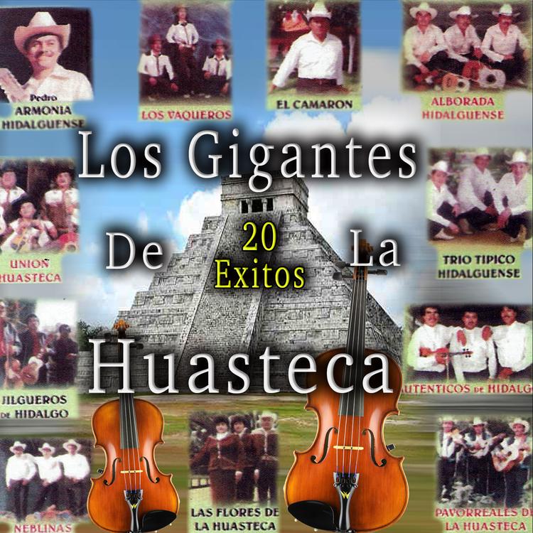 Los Gigantes De La Huastecos's avatar image