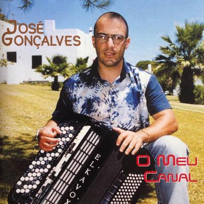 O Meu Coração Está Pisado By José Gonçalves's cover