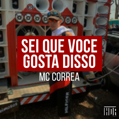 Sei que Você Gosta Disso By MC Correa, DJ Luis DF's cover